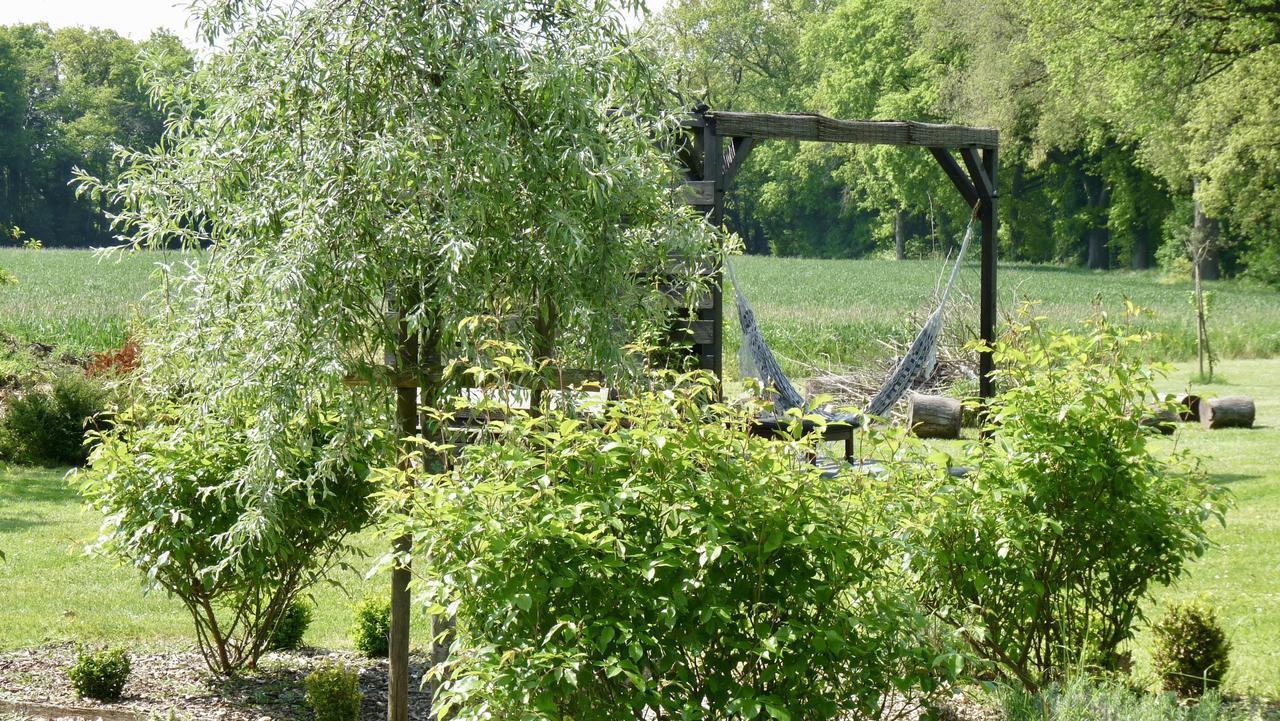 La Ligne Bed and Breakfast Angles-sur-lʼAnglin Eksteriør billede