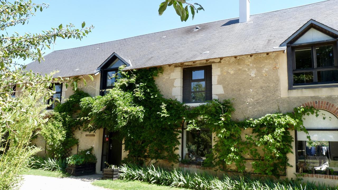 La Ligne Bed and Breakfast Angles-sur-lʼAnglin Eksteriør billede